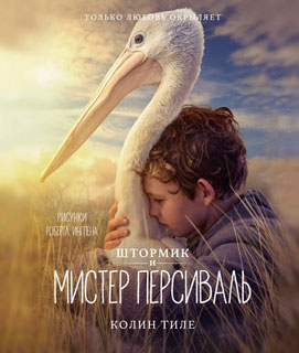 Штормик и мистер Персиваль