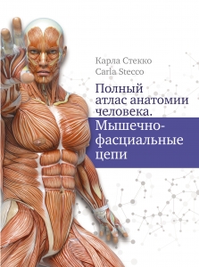 Полный атлас анатомии человека. Мышечно-фасциальные цепи