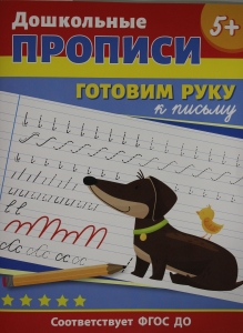 Дошкольные прописи. Готовим руку к письму