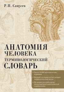 Анатомия человека.Терминологический словарь Анатомия человека.Терминологический словарь