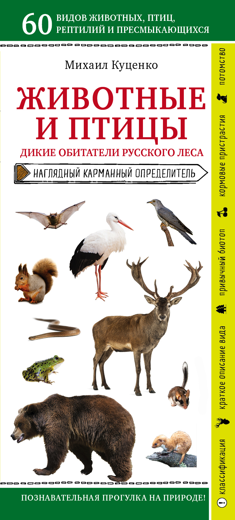 Животные и птицы. Дикие обитатели русского леса Животные и птицы. Дикие обитатели русского леса