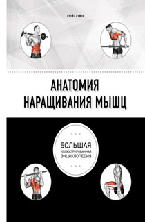 Анатомия наращивания мышц Анатомия наращивания мышц