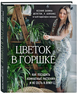 Цветок в горшке. Как посадить комнатные растения и не сесть в лужу Цветок в горшке. Как посадить комнатные растения и не сесть в лужу