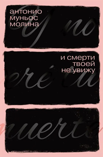 И смерти твоей не увижу И смерти твоей не увижу