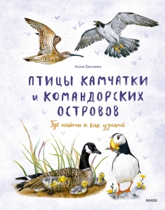Птицы Камчатки и Командорских островов. Где найти и как узнать