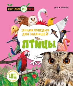 Птицы Птицы