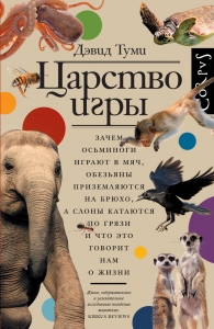 Царство игры Царство игры