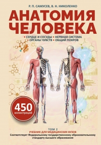 Анатомия человека. Сердце и сосуды, нервная система, органы чувств, общий покров