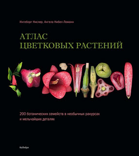 Атлас цветковых растений. 200 ботанических семейств в необычных ракурсах и мельчайших деталях Атлас цветковых растений. 200 ботанических семейств в необычных ракурсах и мельчайших деталях
