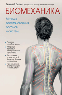 Биомеханика. Методы восстановления органов и систем Биомеханика. Методы восстановления органов и систем