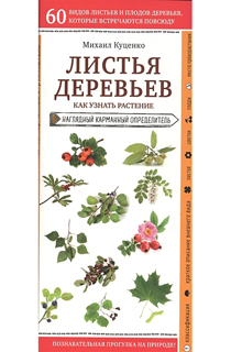 Листья деревьев. Как узнать растение Листья деревьев. Как узнать растение