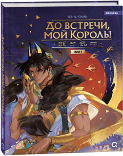 Вэнь Юань. До встречи, мой король. Том 1