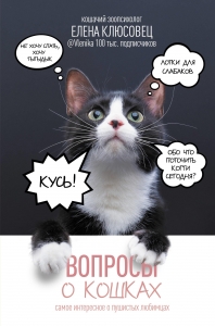 Вопросы о кошках. Самое интересное о пушистых любимцах Вопросы о кошках. Самое интересное о пушистых любимцах