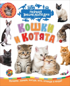 Кошки и котята