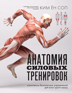Анатомия силовых тренировок Анатомия силовых тренировок