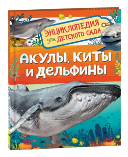 Акулы, киты и дельфины