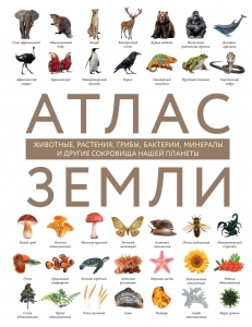 Атлас Земли. Животные, растения, грибы, бактерии, минералы и другие сокровища нашей планеты Атлас Земли. Животные, растения, грибы, бактерии, минералы и другие сокровища нашей планеты