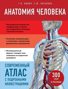 Анатомия человека. Современный атлас с подробными иллюстрациями Анатомия человека. Современный атлас с подробными иллюстрациями