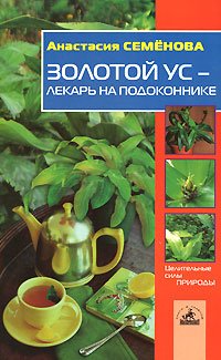 Золотой ус - лекарь на подоконнике Золотой ус - лекарь на подоконнике