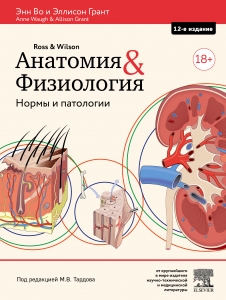 Анатомия и физиология. Нормы и патологии Анатомия и физиология. Нормы и патологии
